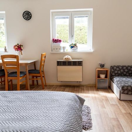 Apartmán Fraise Lejlighed Decin Eksteriør billede