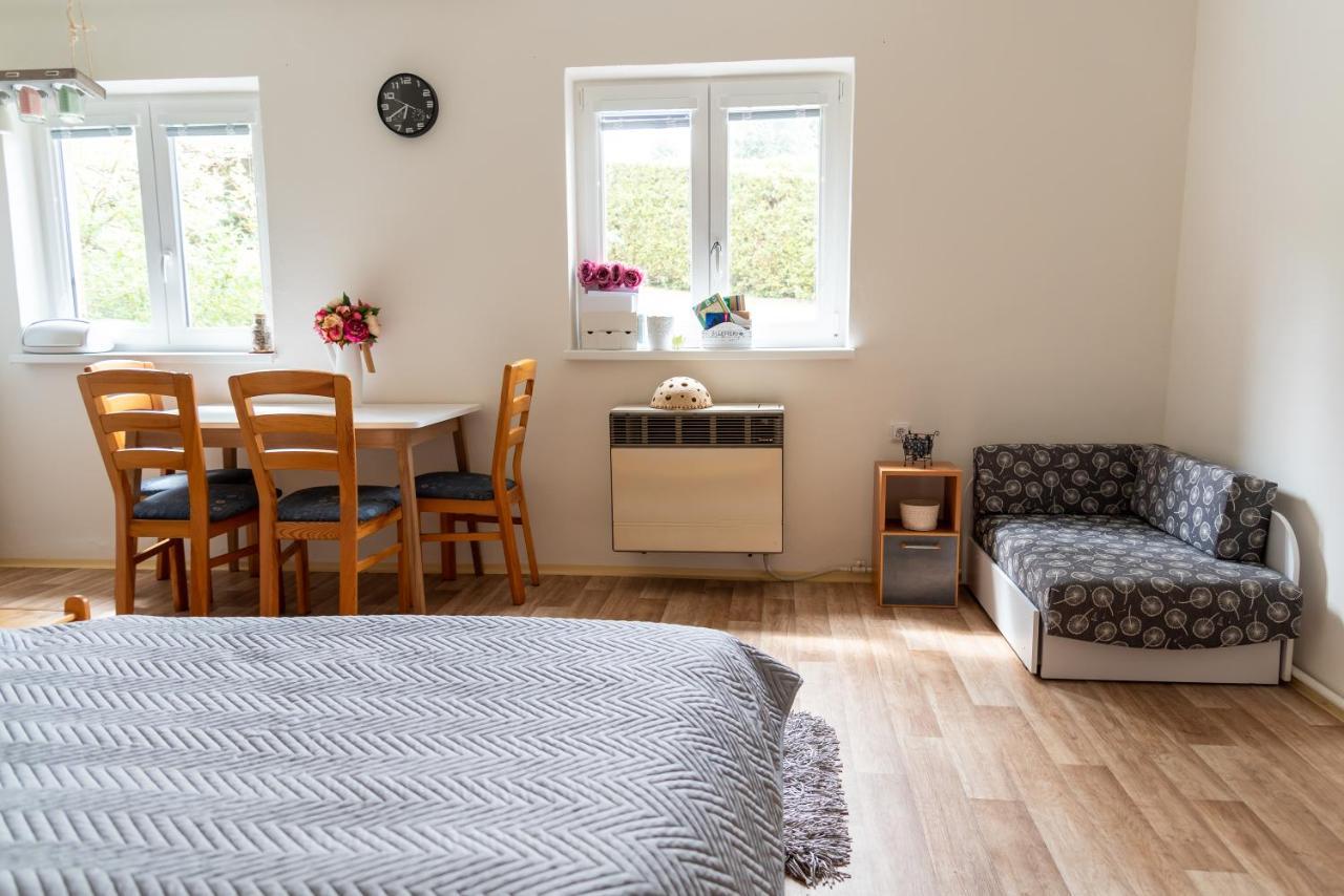 Apartmán Fraise Lejlighed Decin Eksteriør billede