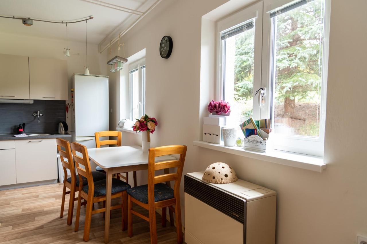 Apartmán Fraise Lejlighed Decin Eksteriør billede